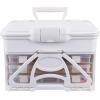 ArtBin 6994AB Solutions Cabinet, Portable Art & Craft Organizer with Handle & Drawers, [1] Plastic Storage Case, Clear/Aqua(White)